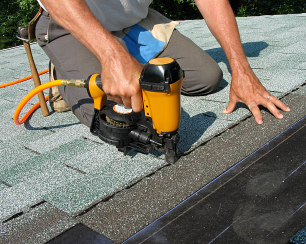 Best Local Roofing Companies  in Sesser, IL