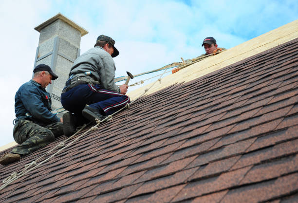 Best Commercial Roofing Services  in Sesser, IL